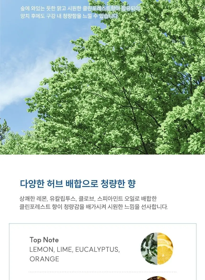 [불소 포함] 뷰센G 잇몸케어 치약 120g 상세페이지 11